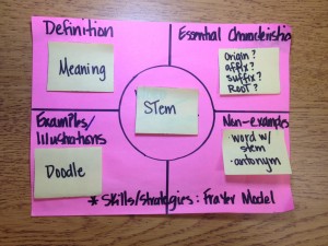 Frayer Model for Yellow List Stems/Vocabulary
